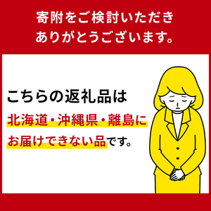 【数量限定】JAなすの産いちご 産地直送 とちあいか 1箱（290g×2パック）【栃木県共通返礼品】 ns084-002 いちご ﾌﾙｰﾂ 果物 品種 ｵﾘｼﾞﾅﾙ 甘さ ﾃﾞｻﾞｰﾄ ﾋﾞﾀﾐﾝC 