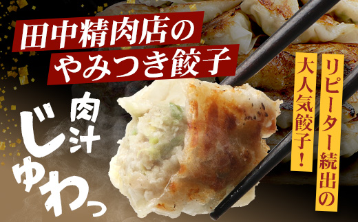 佐多の田中肉屋ニンニクたっぷりやみつき餃子 240個（12個入り×20パック） 餃子のタレ3本付き | ギョウザ にんにく スタミナ餃子 大容量 手作り おかず ビールと一緒に 冷凍 産地直送 鹿児島