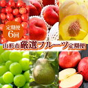 【ふるさと納税】【定期便6回】山形市産 厳選フルーツ定期便 【令和6年産先行予約】FS23-762