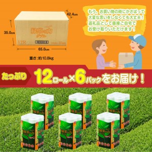 トイレットペーパー ダブル 72ロール トイレット [sf002-065]