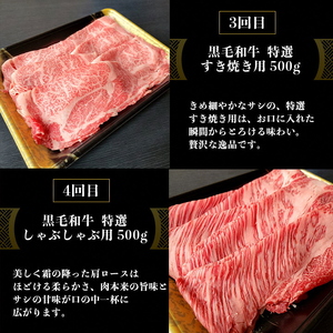 訳あり 京都府産黒毛和牛(A4・A5)人気部位 6回定期便 【焼肉・すき焼き・ステーキ2種・しゃぶしゃぶ・ローストビーフ 計2.54kg】 京の肉 ひら山 味わいづくし ≪定期便 牛 和牛 黒毛和牛 