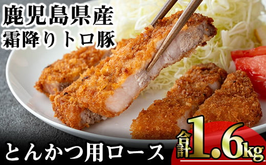 
            鹿児島県産霜降りトロ豚 とんかつ用ロース (計1.6kg・200g×8枚) 鹿児島県産 豚肉 霜降り 【KNOT】 A572
          