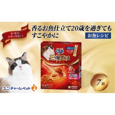 ふるさと納税 伊丹市 銀のスプーン三ツ星グルメ香るお魚仕立て20歳を過ぎてもすこやかにお魚レシピ猫ご飯[54030509]