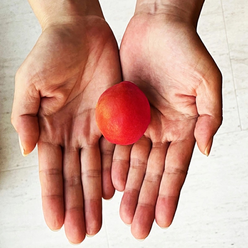 1107.MIYAYOSHI　SILVER LABEL　No.16 large bottle(A1107-1)