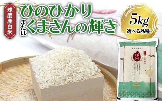
            FKP9-678var ＼選べる品種／ 【令和7年度産】球磨産白米 5kg ひのひかり or くまさんの輝き 新米 白米 精米 ふっくら 国産米 おすすめ 農家
          