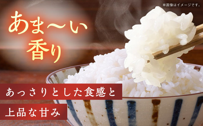 米 お米 コメ 白米 精米 国産 長崎 JA