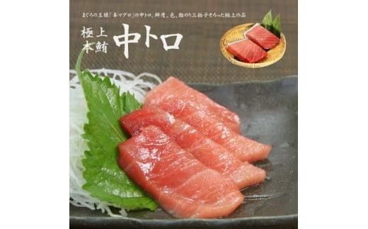 
本マグロ中トロ300g　解凍レシピ付　1サクずつ真空包装 脂の甘みと濃厚赤身が絶妙なバランス
