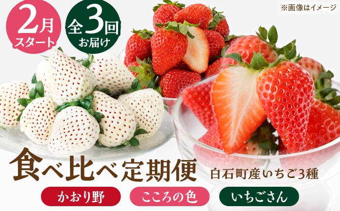 
            【R8年2月以降発送】【全3回定期便】3種の食べ比べ定期便（2）  【StrawberryFarm-K】 [IBJ031]
          