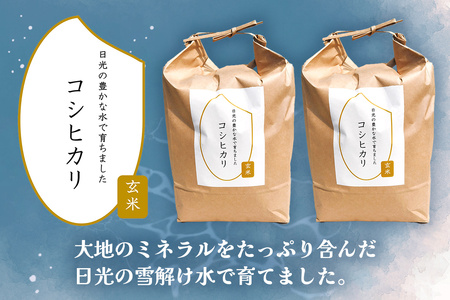 [数量限定] 令和7年度産 特別栽培米 コシヒカリ 玄米10kg (5kg×2袋)｜こしひかり お米 ご飯 ライス 2025年度米 玄米 国産 日光産 産地直送 先行予約 [0706]