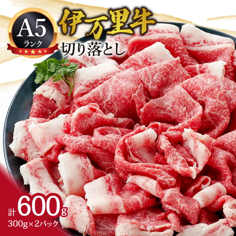 【ふるさと納税】A5 A4厳選 伊万里牛切り落とし 600g 小分け 焼肉 牛丼 炒め物に 061-J940 【 佐賀牛 牛肉 和牛 焼肉 お肉 赤身 A5 A4 モモ バラ バーベキュー 伊万里牛 切落し 詰合せ ふるさと納税 肉 】
