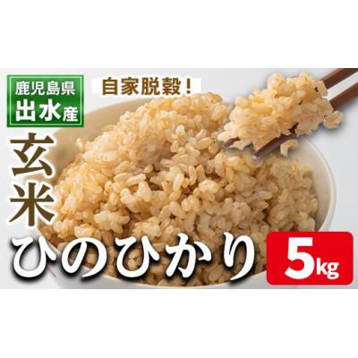 ふるさと納税 出水市 出水産ひのひかり玄米(5kg×1袋)_I504-v02