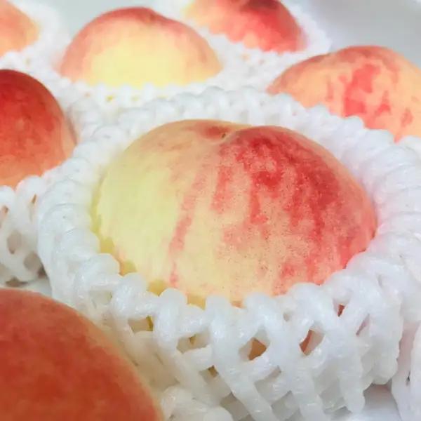 【夏の美味】桃 フルーツ王国和歌山の桃 秀品13～15玉入り(約4kg)※2025年６月中旬～７月下旬頃順次発送予定（お届け日指定不可）【ard049B】