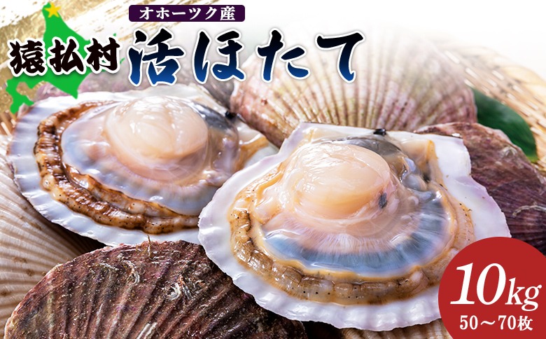 「活ほたて」10kg（50～70枚）　オホーツク産【1601401】
