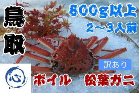 【 訳アリ 松葉ガニ 】松葉ガニの本場 鳥取県産 ボイル  800g 2～3人前 松葉ガニ ズワイガニ カニ