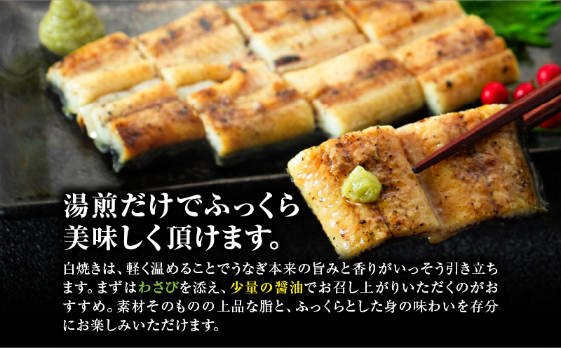 大隅産うなぎの白焼き 3尾　KN174-002-03