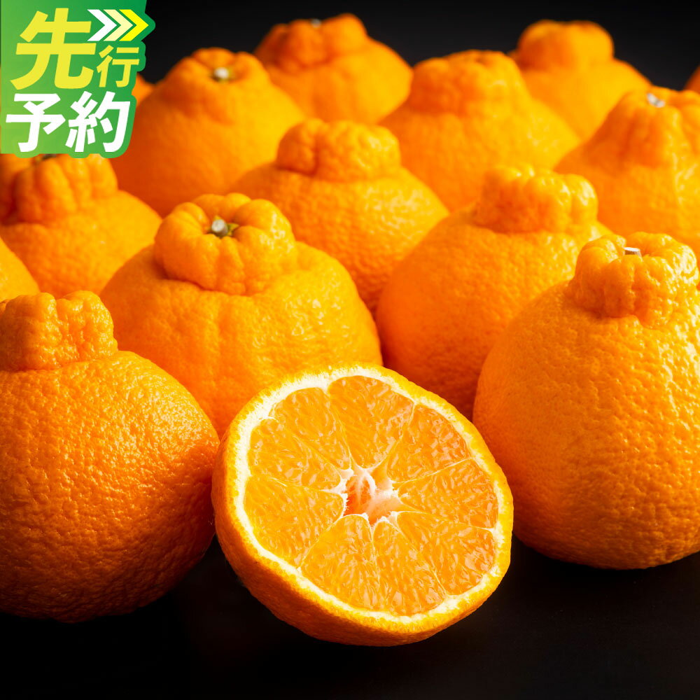 【ふるさと納税】熊本県産 デコポン 5kg 15～18玉 1玉当たり約270～330g でこぽん みかん ミカン 蜜柑 柑橘 くだもの 果物 果実 フルーツ 国産 九州 熊本県 熊本市 送料無料 【2027年3月上旬～4月上旬迄順次発送予定】