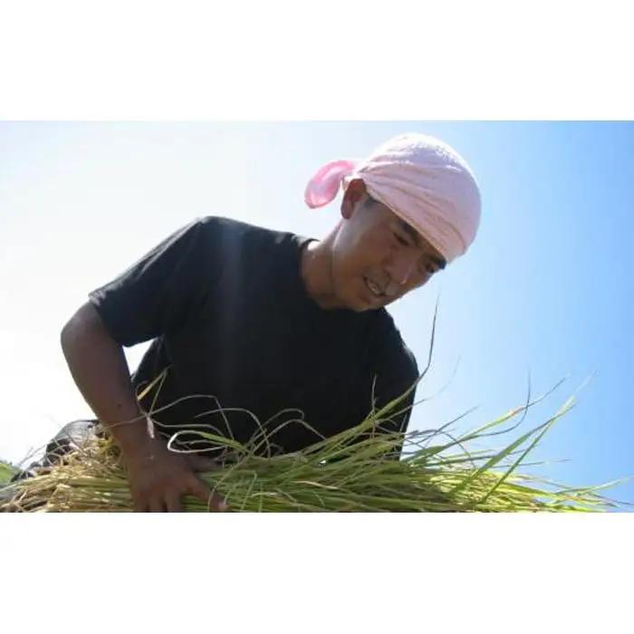 【定期便】【令和7年】南魚沼産 コシヒカリ 無洗米 チャック付き（2kg×全6回）　|  無洗米
