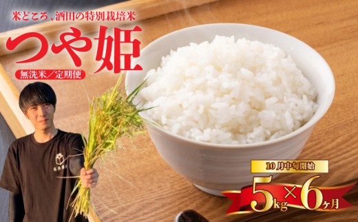10月中旬発送開始／【6回定期便】令和8年産 ［無洗米］つや姫　5kg×6回(計30kg) 農家直送 HO SH0070