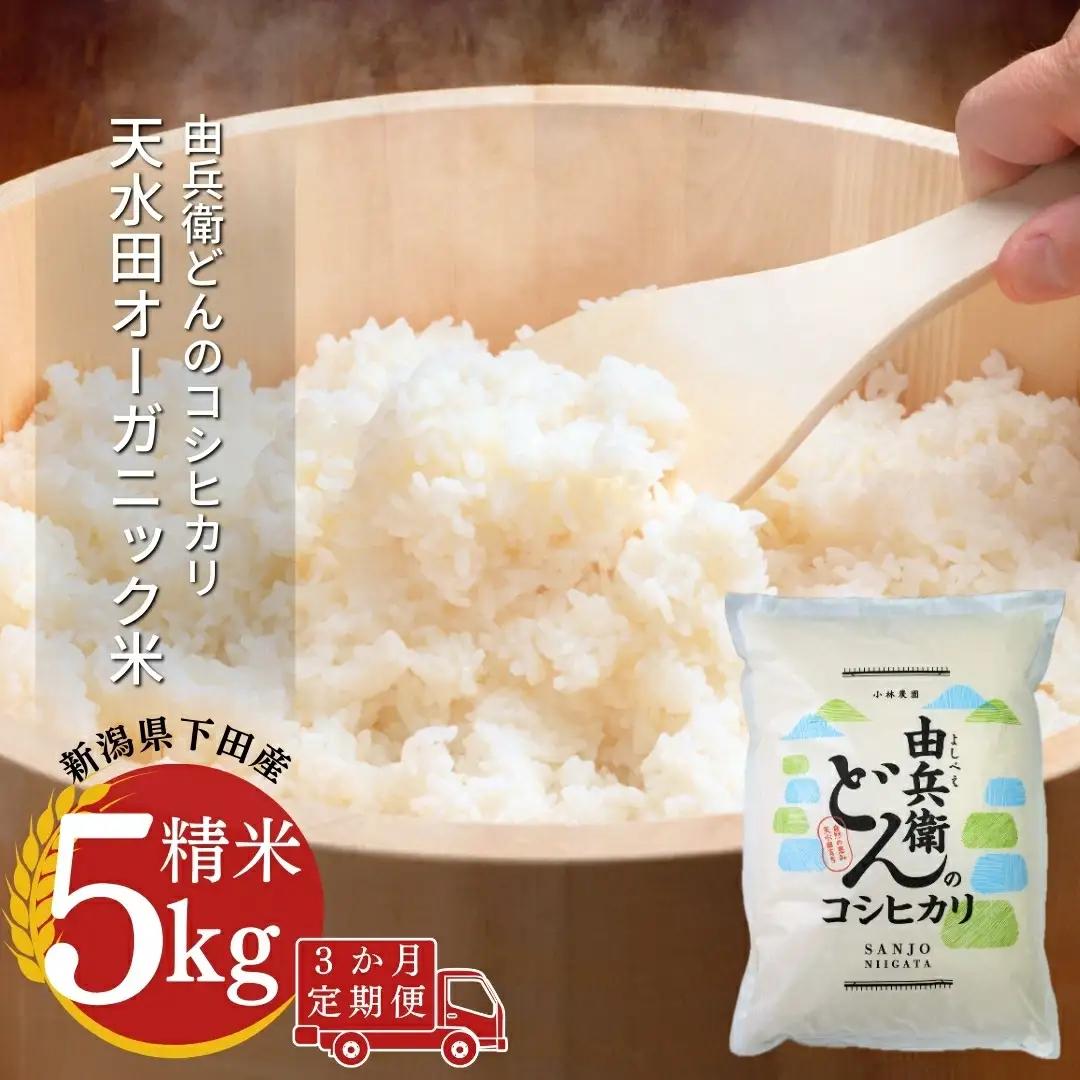 [定期便] 天水田で育った コシヒカリ 5kg ×3か月 オーガニック米 新潟県産 コシヒカリ