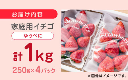 【2024年12月〜順次発送】熊本県産 ゆうべに いちご 計1kg ( 250g × 4P ) 農園直送 産地直送 熊本県産 いちご イチゴ 苺 山都町産 いちご 完熟 いちご イチゴ 苺 いちご狩り