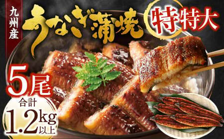 九州産 うなぎ蒲焼 特特大5尾 (1尾あたり250～266g) 合計：1.2kg以上【2025年12月発送】
