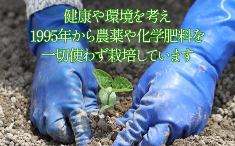 【令和6年産先行予約】本場鶴岡市白山産 冨樫藤左エ門のだだちゃ豆(早生甘露) 1.2kg　A06-614