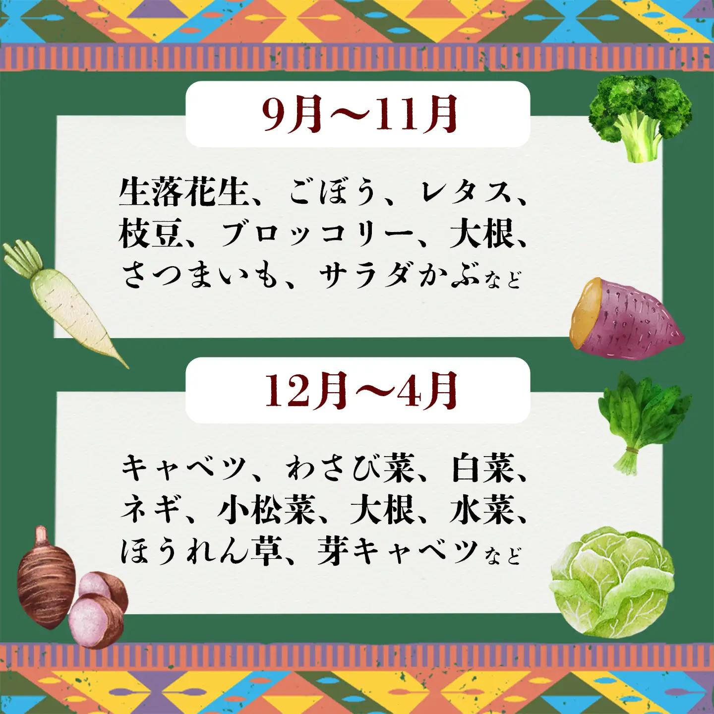 野菜 9袋 訳あり 6ヶ月 定期便 詰め合わせ お任せ 旬 野菜