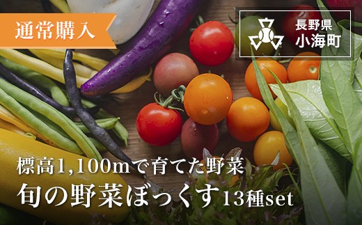 
                  あとくら農園 旬の野菜ぼっくす13種セット| 野菜 新鮮 旬 新鮮 根菜 【 2026年発送 先行予約 】高原野菜 農家直送/長野県小海町
                