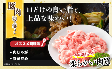宮崎県産 豚肉切り落とし＆若鶏もも切身セット 合計3kg 肉 豚 鶏肉 小分け 真空パック 国産 食品 万能食材 豚丼 焼肉 から揚げ とり天 炒め物 おかず お弁当 おつまみ 詰め合わせ 食べ比べ 