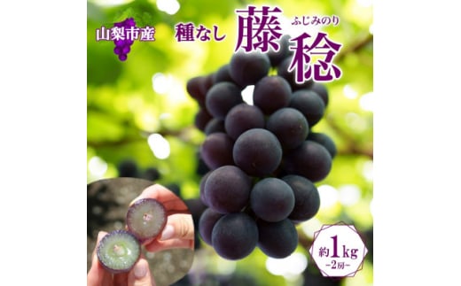 〈2025年先行受付〉爽やかな甘み「山梨県山梨市産のぶどう 藤稔(ふじみのり) 2房 約1kg」【1513028】