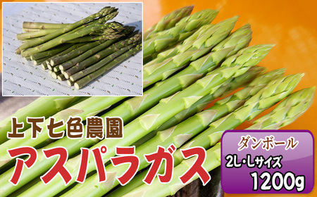 No.1095 上下七色農園 アスパラガス　2L・Lサイズ　ダンボール（1.2kg）