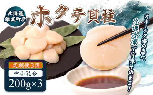【定期便3回】　北海道雄武町産ほたて貝柱 中小混合 200g×3 (冷凍) 使い切りパック　| ふるさと納税 北海道 雄武 ホタテ 帆立 ほたて 小粒 中粒 大粒 200g×3 1.8kg 冷凍 オホーツク オホーツク産 刺身 魚貝 魚介 海鮮 海産 海産物 魚介類 お取り寄せ ワンストップ マイページ 雄武漁業協同組合【07137】