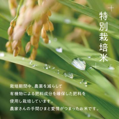 ふるさと納税 天栄村 「満天」食べ比べセット各5kg(ゆうだい21・特別栽培米コシヒカリ) |  | 01