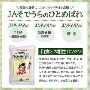 SJ0058　【6回定期便】令和7年産［精米］ひとめぼれ　5kg×6回(計30kg) JS