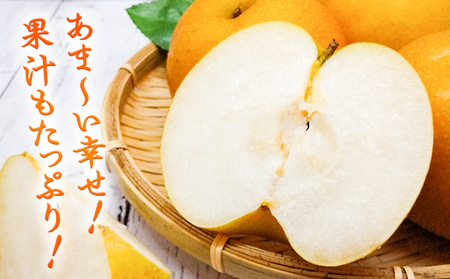 【先行予約】和歌山県紀の川市産 の幸水梨 約4kg （約10玉～15玉）紀の川市厳選館 《2026年7月下旬-8月中旬頃出荷》 和歌山県 紀の川市 果物 フルーツ なし ナシ 