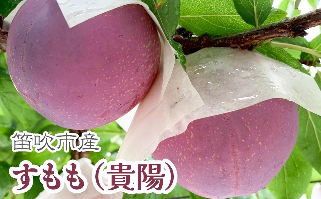 
            【2026年発送★先行予約】すもも(貴陽)│7～9玉(合計1.5kg程度) 229-011
          