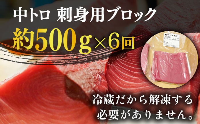 【全6回定期便】五島列島産 養殖 生本かみまぐろ 中トロ 500g / まぐろ 鮪 刺身 ブロック