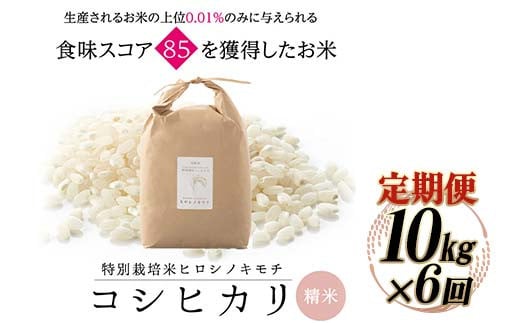 ≪先行予約≫【6回定期】特別栽培米 コシヒカリ ヒロシノキモチ 精米 10kg 総計60kg ブランド米 銘柄米 国産 米 お米 日本米 ギフト 贈り物 備蓄 防災 食品 陽咲玲 はるざれ F6T-823