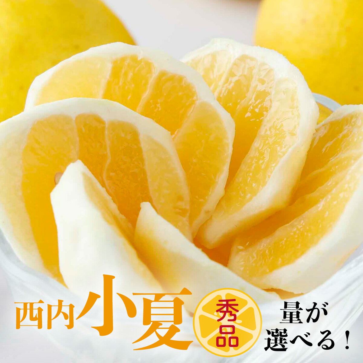 【ふるさと納税】 量が選べる 【秀品】西内小夏　2kg/5kg 日向夏　ニューサマーオレンジ ジューシー 果肉 高知県 四国 お取り寄せ ギフト 手土産 贈答 NU-07-09