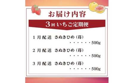 いちご 定期便 3回 Jコース いちご フルーツ定期便