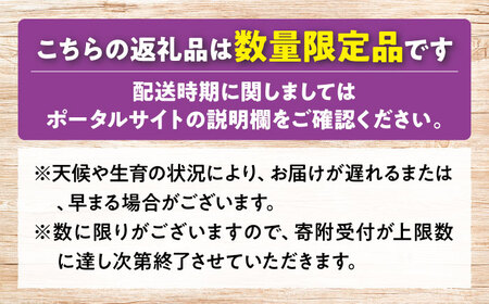 【冷蔵】【6月中旬から7月下旬に順次発送】ブルーベリー 780g（130g×6パック） 生ブルーベリー ミックスベリー ブルーベリー 三次市/小川モータース[APCH011]