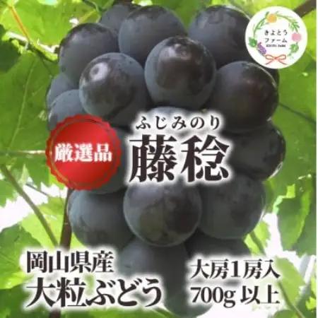 大粒葡萄の「藤稔」 大サイズ1房 厳選品 1房700g～ (岡山県産) ギフトにおすすめの人気葡萄!【配送不可地域：離島・北海道・沖縄県】【1721884】