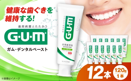 サンスター GUM デンタルペースト(ST) 120g×12本 歯磨き はみがき ハミガキ 歯磨き粉 歯みがき粉 薬用 医薬部外品 歯周病 虫歯 口臭 予防 大容量 人気 定番 おすすめ 歯周病予防 歯肉炎 口臭ケア デンタルケア オーラルケア 殺菌成分 歯茎ケア 口内ケア エチケット ストック まとめ買い 日用品 消耗品 大阪府 高槻市 / サンスター [AOAD079]