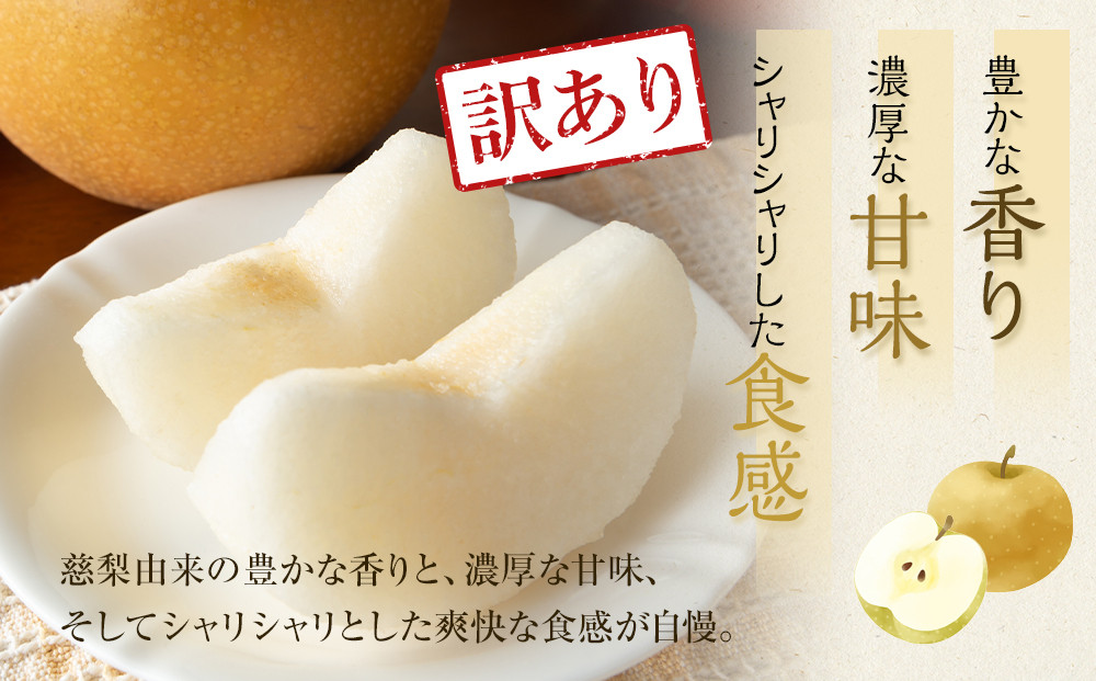 928.【訳あり】鳥取県産旬の梨セット 4kg ≪果物 フルーツ くだもの≫　※2025年8月下旬頃～12月下旬頃に順次発送予定