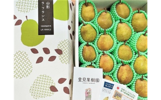 西洋梨（ラ・フランス）５ｋｇ　１８～２０玉　特秀品　0079-2620