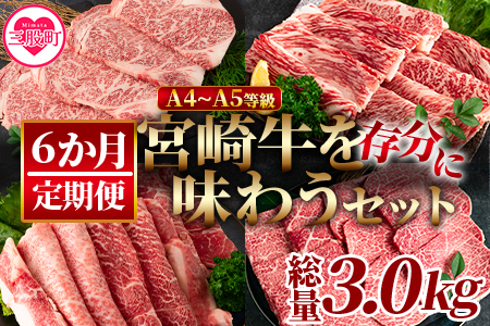 ＜【定期便6か月】宮崎牛を存分に味わうセット 総量3.0kg＞柔らかくきめ細かい肉質と適度な霜降りの入った美味しい牛肉でステーキ、すき焼き、焼肉、BBQをご堪能下さい！【MI231-nh】【日本ハムマ