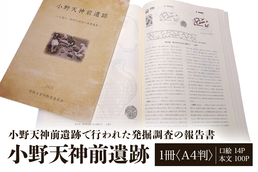 
                  小野天神前遺跡 1冊 弥生時代 考古学 遺跡 発掘 調査報告書 歴史 資料 報告書 発掘調査 茨城県 【常陸大宮市教育委員会事務局文化スポーツ課】 【ho1311】
                