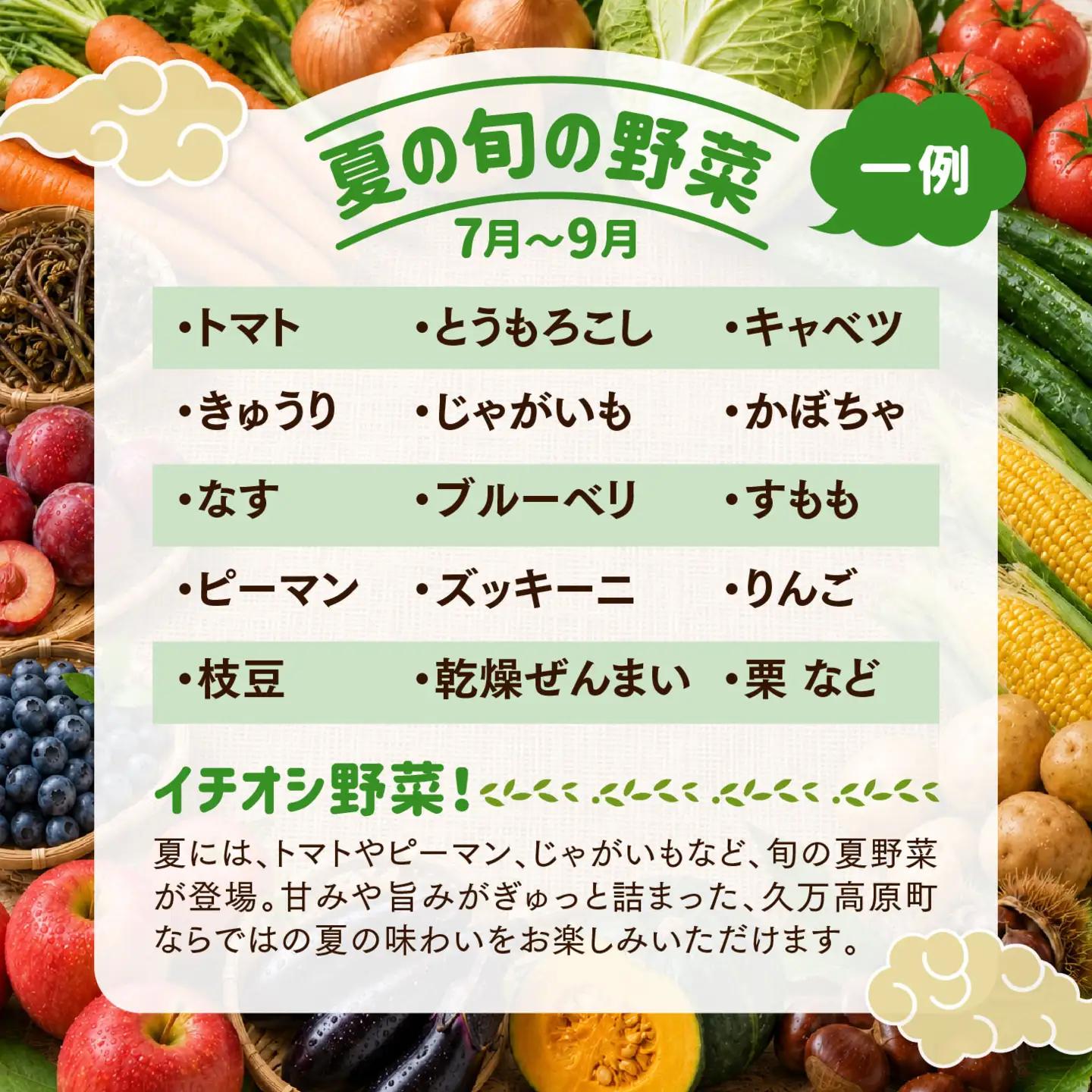 久万高原 天空の旬野菜便2kg 【道の駅みかわ厳選】 | 野菜詰め合わせ 5～6品目 新鮮野菜 定期便 愛媛県産 産地直送