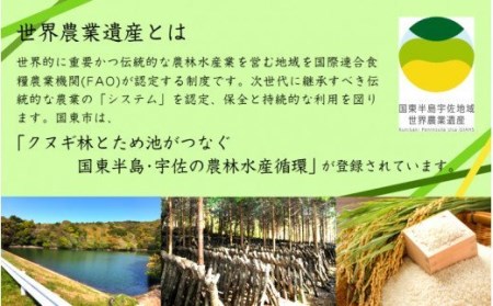 乾し椎茸 冬菇110g（国東半島宇佐地域世界農業遺産ブランド認証品） / 椎茸 しいたけ シイタケ 乾物 国産_1887R