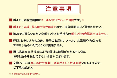 金沢市 あとから選べるWEBカタログギフト（寄附10万円コース）30000ポイント